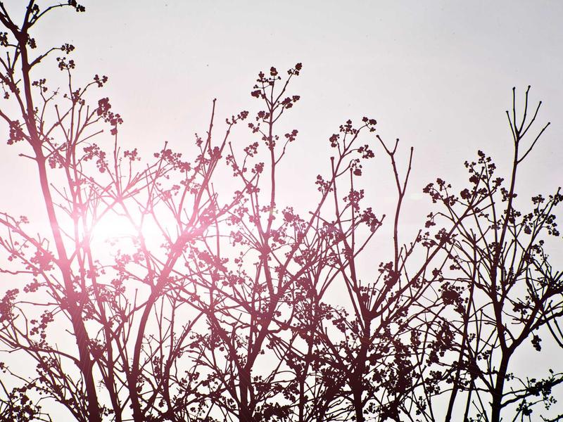 sudoku focus mode screenshot 1